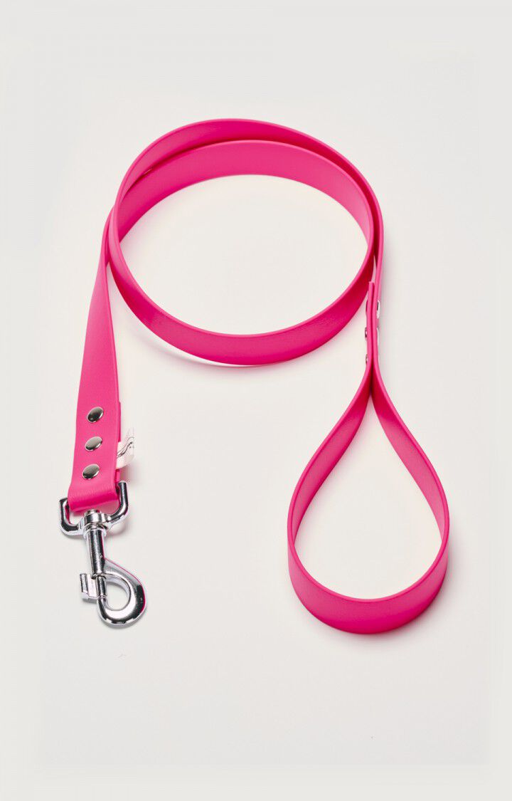 Dog leash La Mutt x AMV