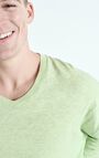 Men's t-shirt Sonoma, ALMOND VINTAGE, hi-res-model