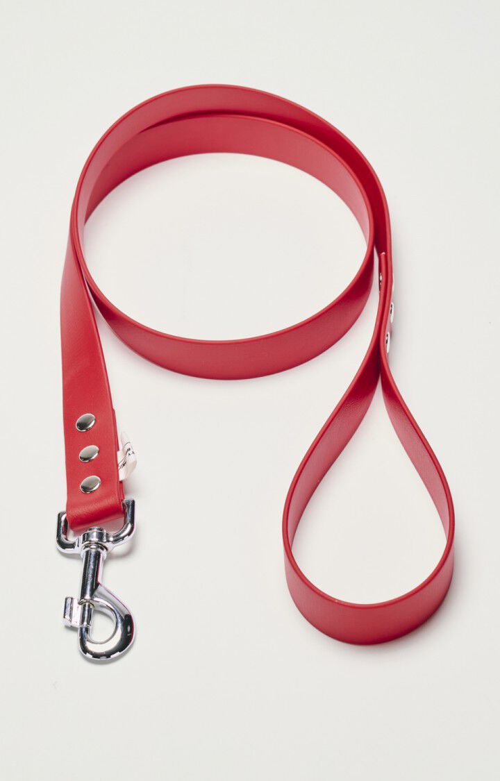Dog leash La Mutt x AMV