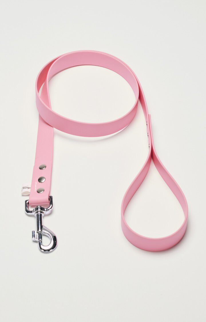 Dog leash La Mutt x AMV