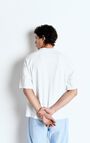 Men's t-shirt Fazy, WHITE, hi-res-model