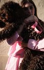 Dog collar La Mutt x AMV, LIGHT PINK, hi-res-model