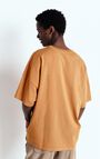 Men's t-shirt Fizvalley, VINTAGE HAZEL, hi-res-model