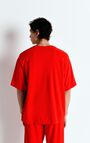 Men's t-shirt Fazy, VINTAGE VOLCANO, hi-res-model