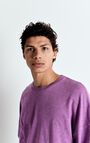 Men's t-shirt Sonoma, VINTAGE INDIAN PINK, hi-res-model