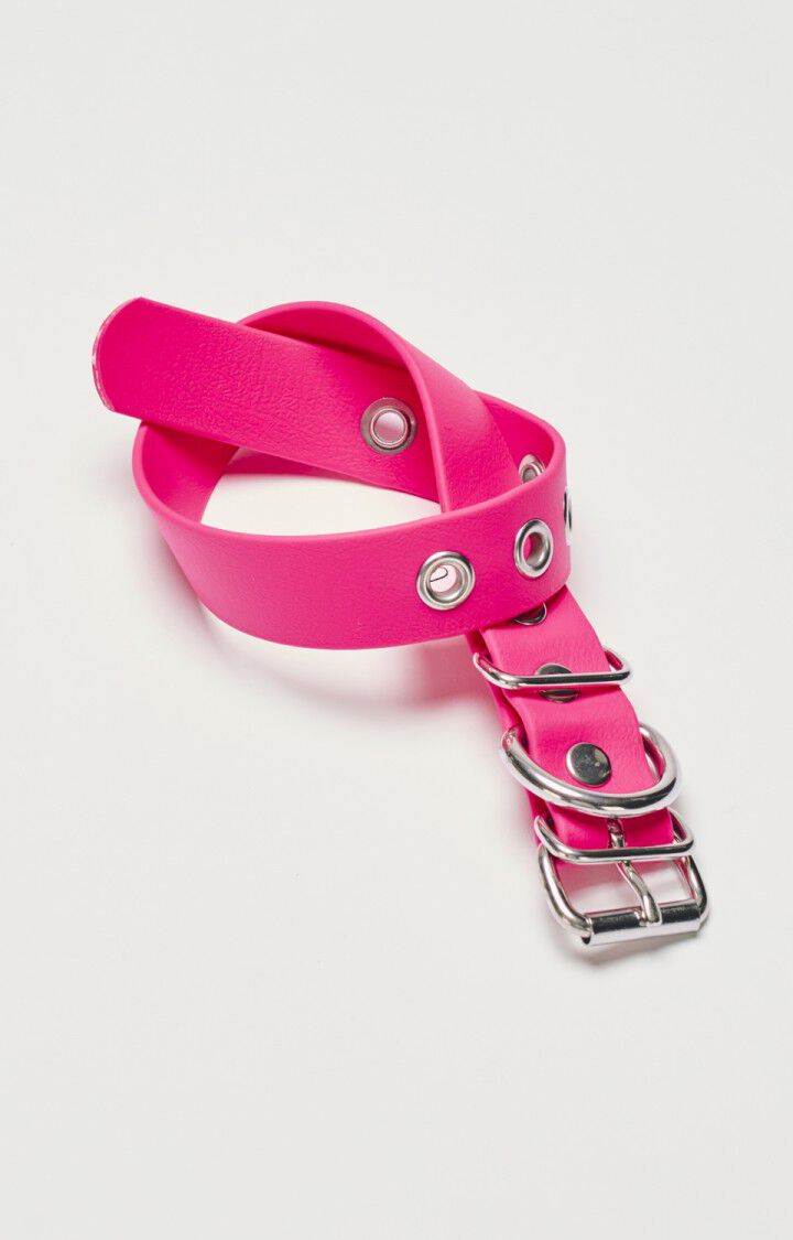 Dog collar La Mutt x AMV