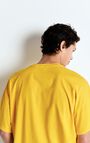 Men's t-shirt Fizvalley, VINTAGE POLLEN, hi-res-model