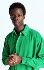 Men's shirt Padow, VINTAGE CLOVER, hi-res-model