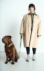 Dog collar La Mutt x AMV, KHAKI, hi-res-model