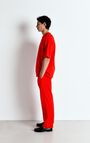 Men's joggers Fazy, VINTAGE VOLCANO, hi-res-model