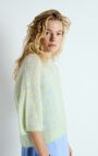 Women's jumper Nenybay, POLAR MELANGE STRIPED ALMOND, hi-res-model