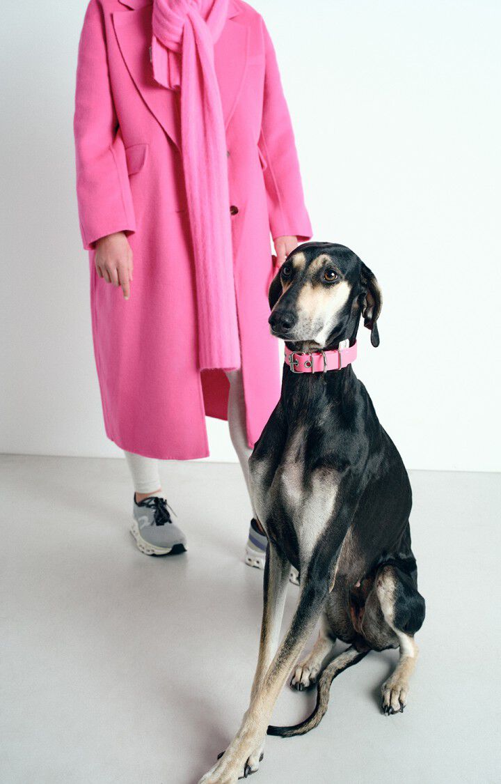 Dog collar La Mutt x AMV