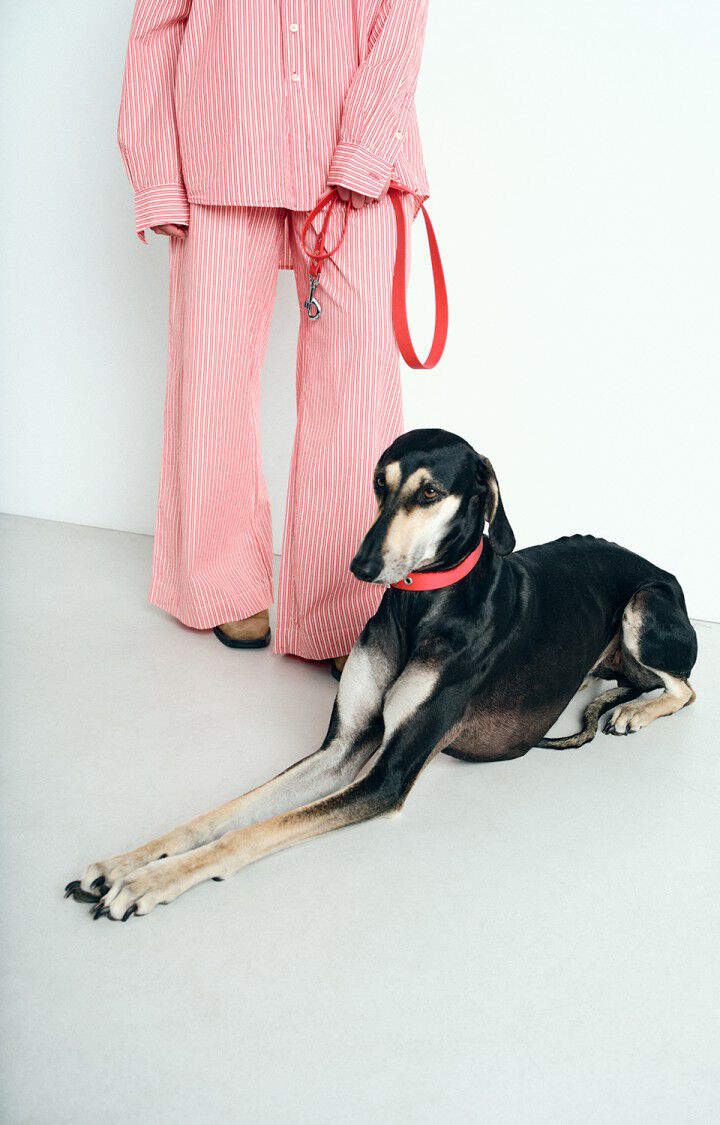 Dog leash La Mutt x AMV