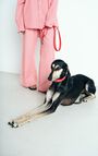 Dog leash La Mutt x AMV, STRAWBERRY, hi-res-model