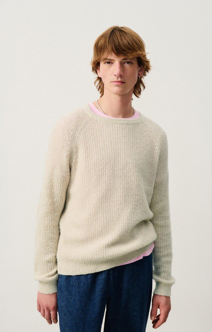 Men's jumper Falyday