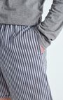 Men's shorts Zivow, OCEAN STRIPES, hi-res-model