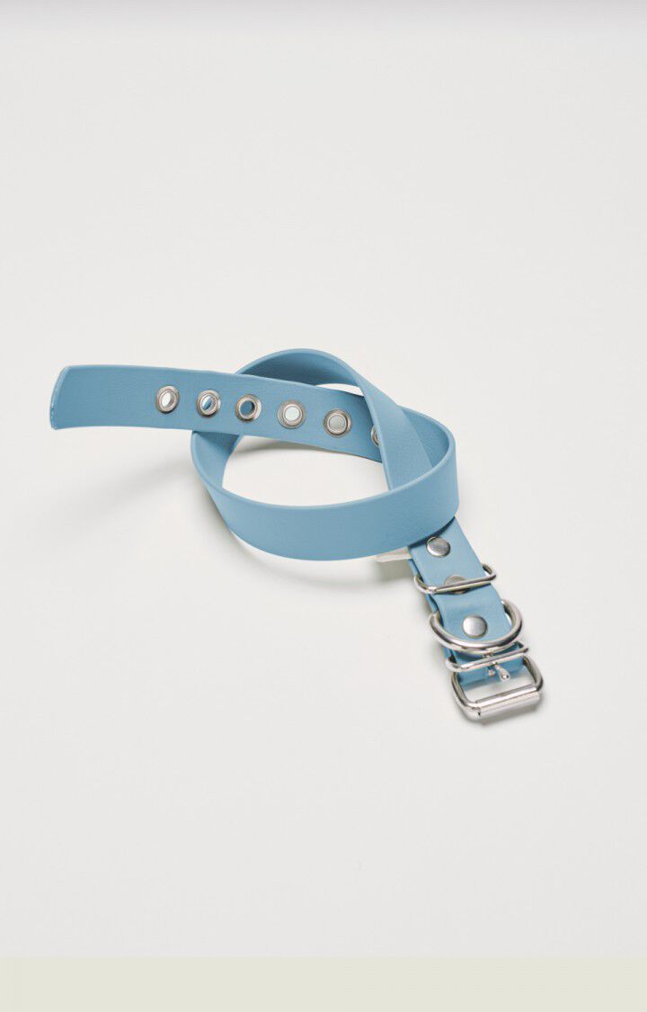 Dog collar La Mutt x AMV
