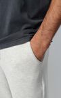 Men's joggers Baptown, HEATHER GREY, hi-res-model