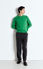Men's joggers Fazy, VINTAGE CARBON, hi-res-model