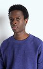 Men's t-shirt Bobypark, PURPLE, hi-res-model