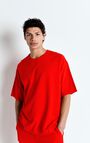 Men's t-shirt Fazy, VINTAGE VOLCANO, hi-res-model