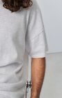 Men's t-shirt Sonoma, ARCTIC MELANGE, hi-res-model