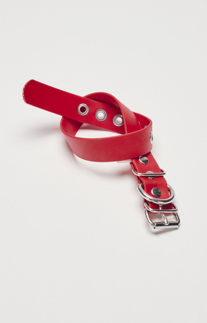 Dog collar La Mutt x AMV