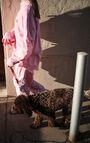 Dog collar La Mutt x AMV, LIGHT PINK, hi-res-model