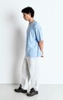 Men's straight jeans Joybird, WINTER BLEACHED, hi-res-model