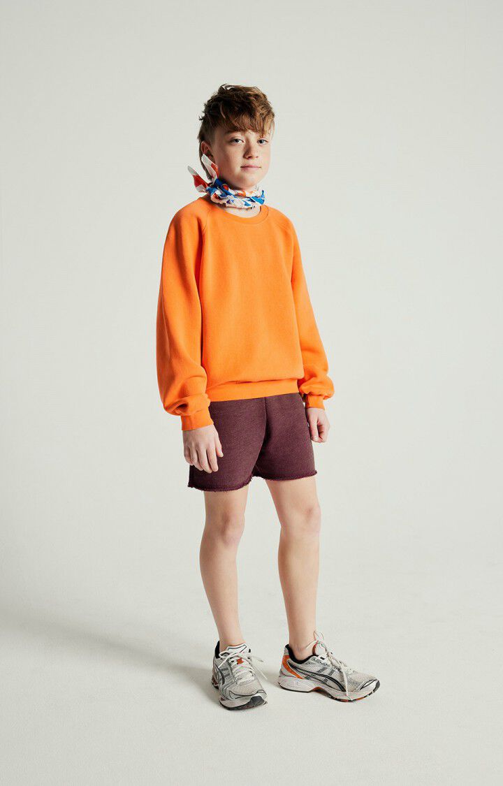 Kid's sweatshirt Izubird