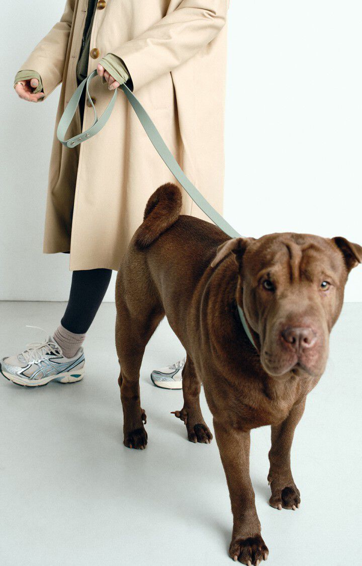 Dog leash La Mutt x AMV