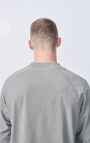 Men's t-shirt Fazy, HEATHER GREY, hi-res-model